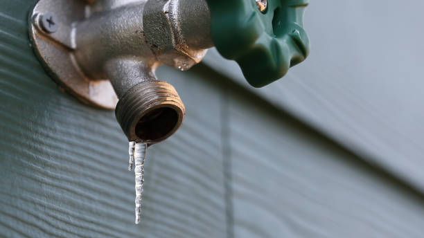 Best Leak Detection Services  in Mena, AR