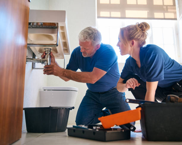 Best Plumbing Inspection Services  in Mena, AR